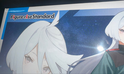 Figure-Rise Standard MIORINE REMBRAN (Box Damage)