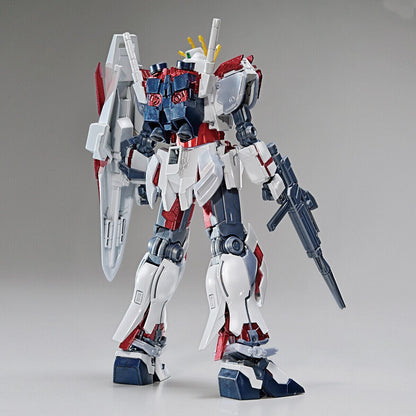 Mobile Suit Gundam Narrative Toys & Hobbies: Models & Kits:Science Fiction:Gundam HG The Gundam Base Limited Narrative Gundam C-Packs [Titanium Edition]